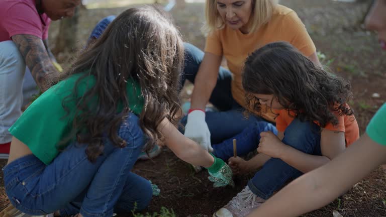 Leaf Removal in San Jose, CA